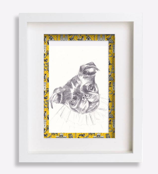 dessin-au-crayon-du-petit-brabançon-jacobine-9-sophie-de-boissieu-