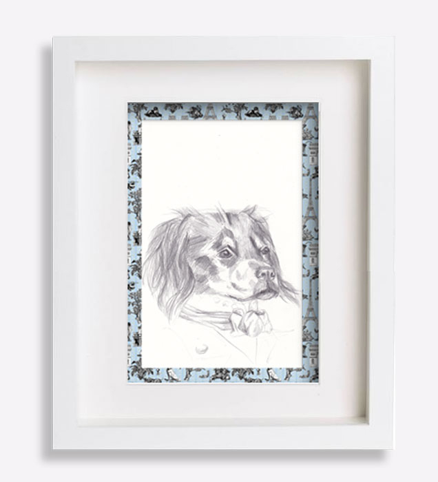 dessin-au-crayon-de-l'apgneul-breton-malo-sophie-de-boissieu-