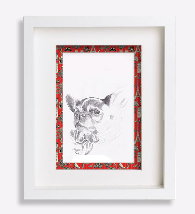 dessin-au-crayon-du-chihuahua-hedden-sophie-de-boissieu-