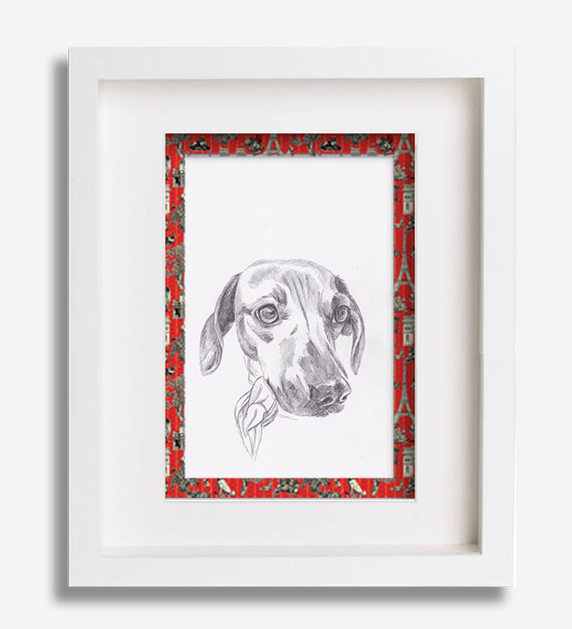 dessin-au-crayon-du-teckel-'chanel'-sophie-de-boissieu-